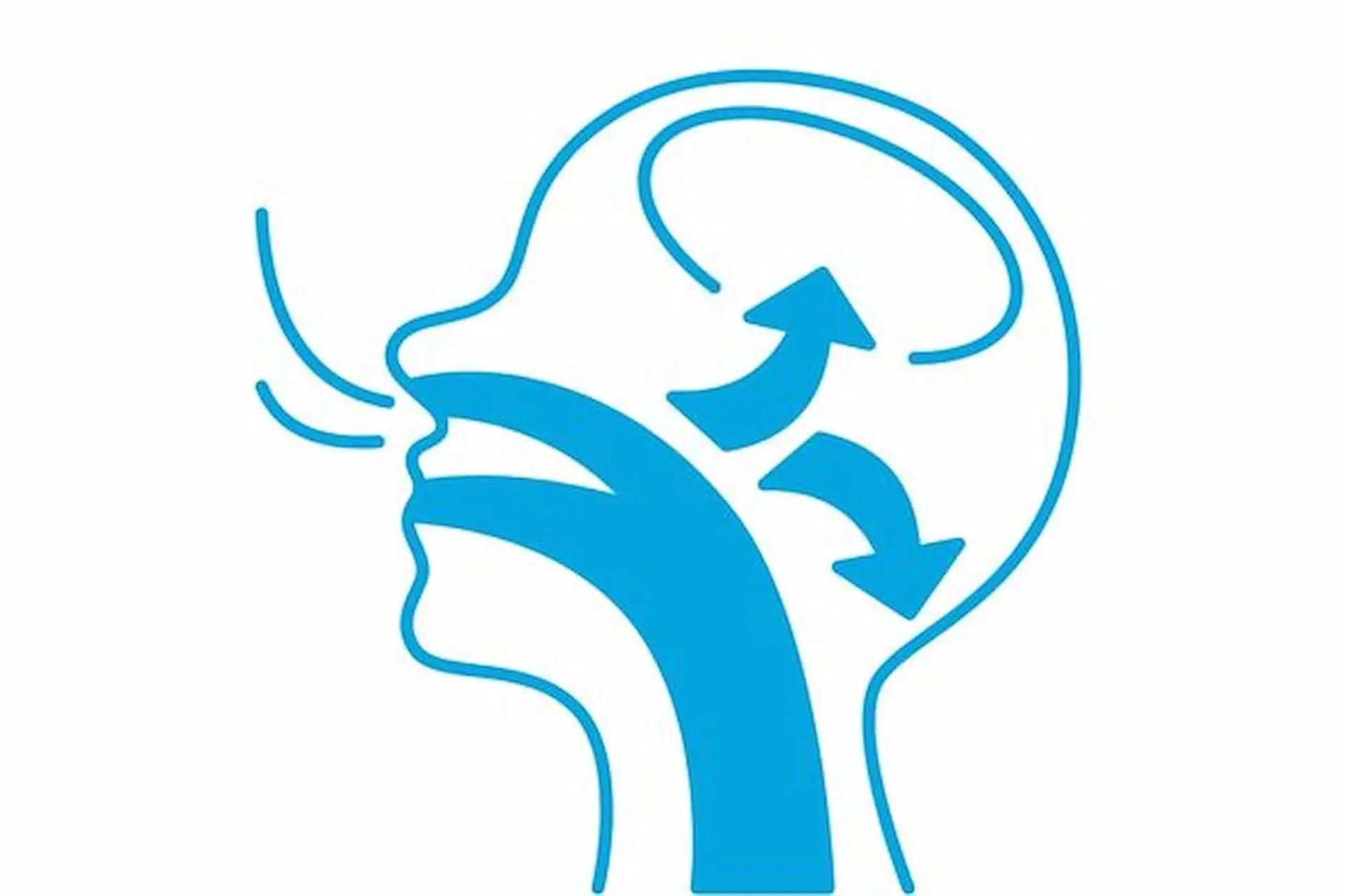 Profile diagram of head showing nasal and mouth airflow, highlighting mouth breathing and its effects at Forsyth Pediatric Dentistry and Orthodontics in Cumming, GA.