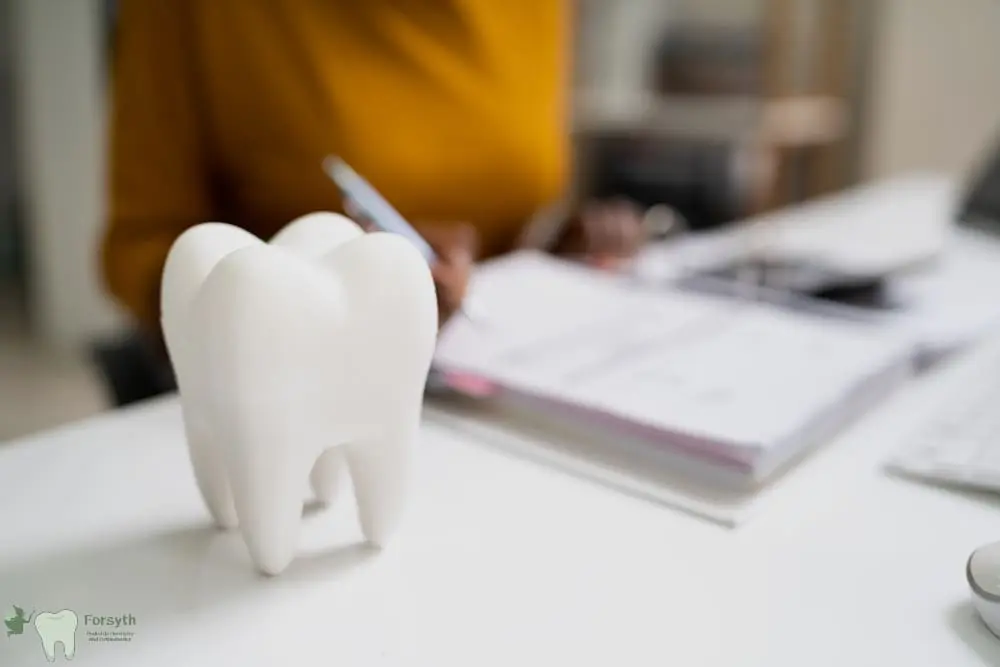 A tooth model on a desk with someone writing behind it at Forsyth Pediatric Dentistry and Orthodontics in Cumming, GA - How to Prevent Baby Bottle Decay in Cumming, GA 